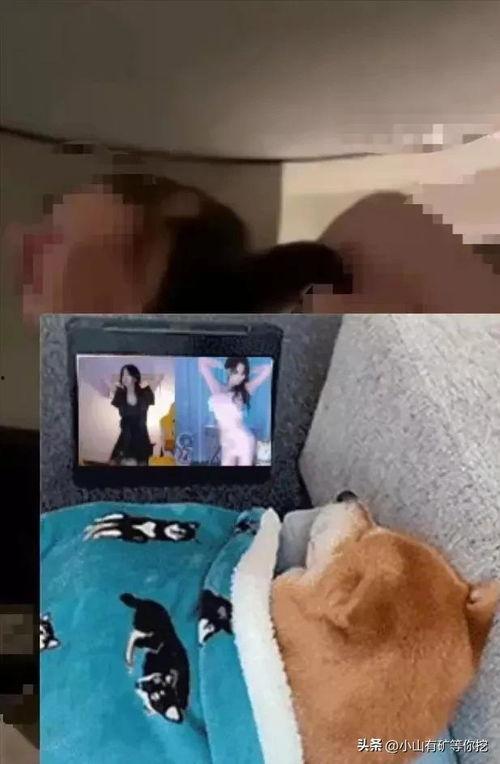 唐山事件爆料小伙视频,小伙勇敢曝光，还原现场惊心动魄瞬间  第2张