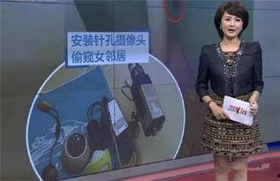 毛妈邻居爆料视频大全,揭秘生活百态，直击社会热点